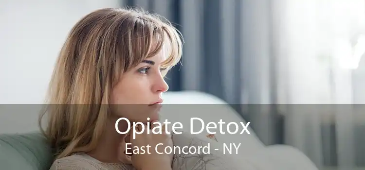 Opiate Detox East Concord - NY