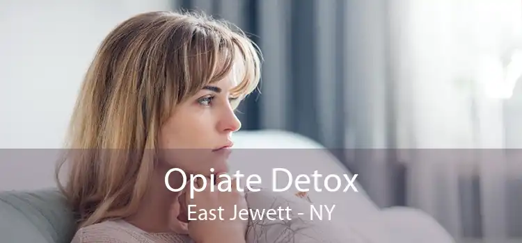 Opiate Detox East Jewett - NY