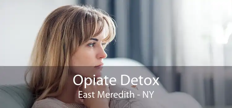 Opiate Detox East Meredith - NY