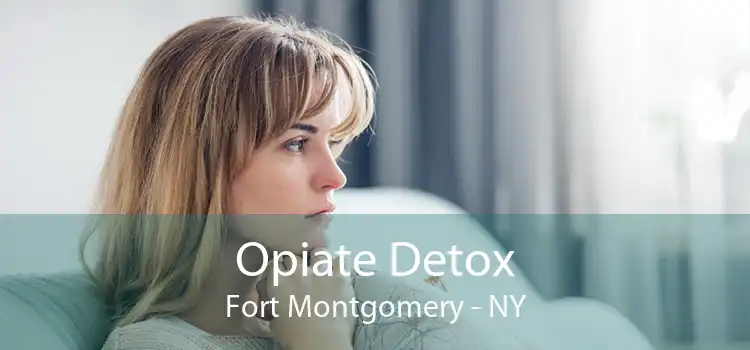 Opiate Detox Fort Montgomery - NY