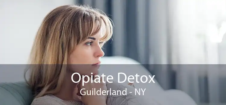 Opiate Detox Guilderland - NY