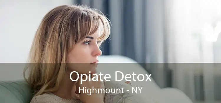 Opiate Detox Highmount - NY