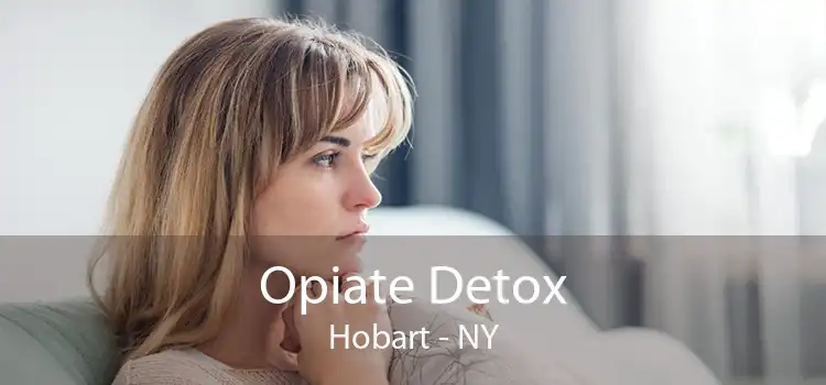 Opiate Detox Hobart - NY