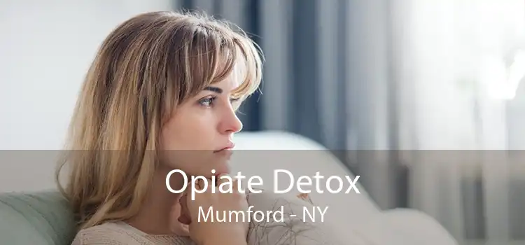 Opiate Detox Mumford - NY