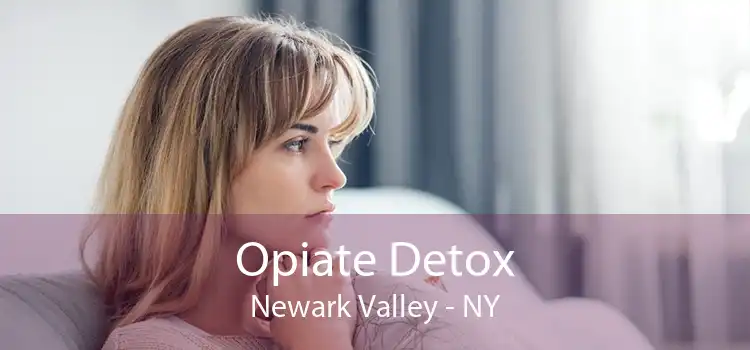 Opiate Detox Newark Valley - NY