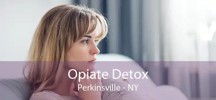 Opiate Detox Perkinsville - NY