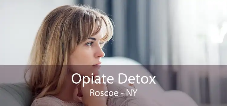 Opiate Detox Roscoe - NY