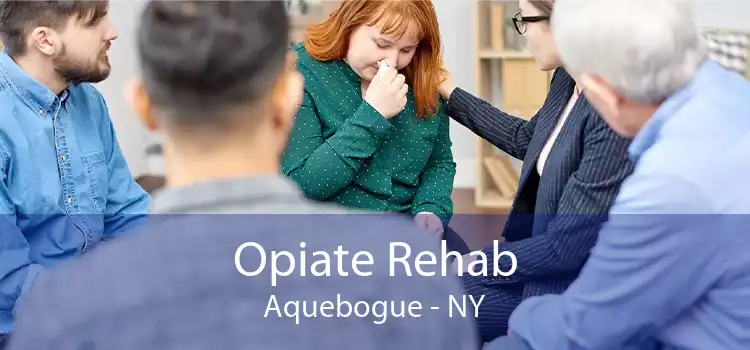 Opiate Rehab Aquebogue - NY