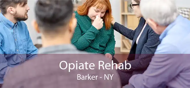 Opiate Rehab Barker - NY