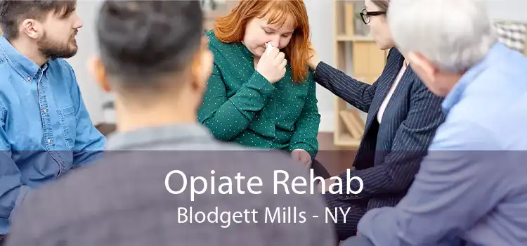Opiate Rehab Blodgett Mills - NY