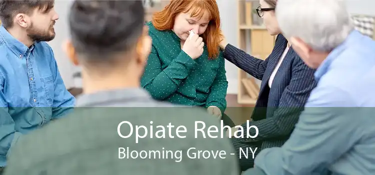 Opiate Rehab Blooming Grove - NY