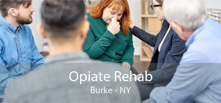 Opiate Rehab Burke - NY