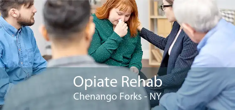 Opiate Rehab Chenango Forks - NY