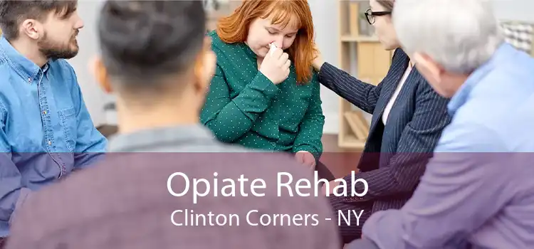 Opiate Rehab Clinton Corners - NY