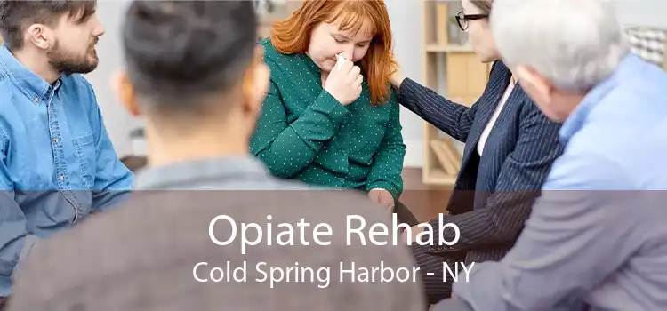 Opiate Rehab Cold Spring Harbor - NY