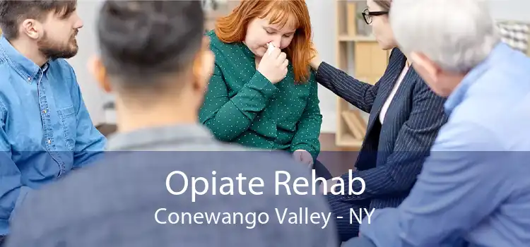 Opiate Rehab Conewango Valley - NY