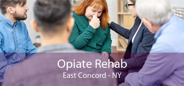 Opiate Rehab East Concord - NY