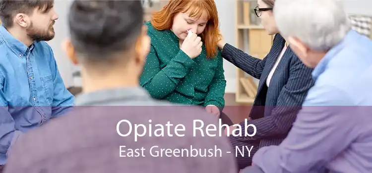 Opiate Rehab East Greenbush - NY