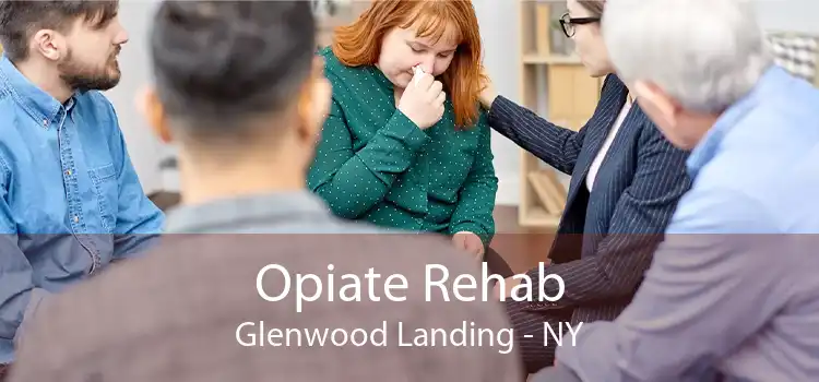 Opiate Rehab Glenwood Landing - NY