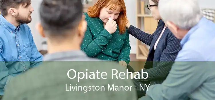 Opiate Rehab Livingston Manor - NY