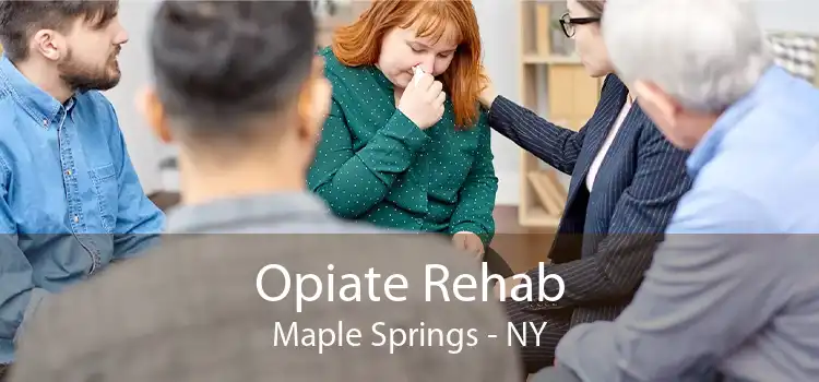 Opiate Rehab Maple Springs - NY