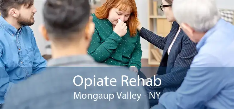 Opiate Rehab Mongaup Valley - NY