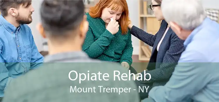 Opiate Rehab Mount Tremper - NY