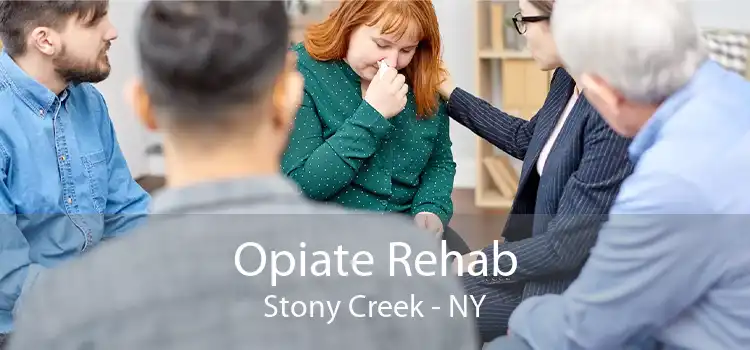 Opiate Rehab Stony Creek - NY