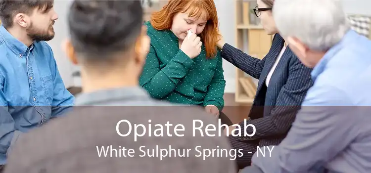 Opiate Rehab White Sulphur Springs - NY