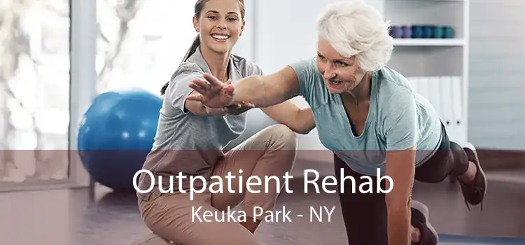 Outpatient Rehab Keuka Park - NY