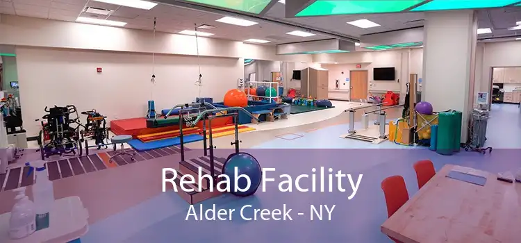 Rehab Facility Alder Creek - NY