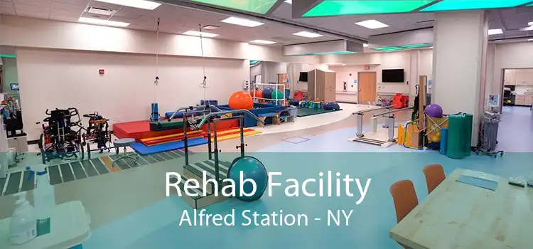 Rehab Facility Alfred Station - NY