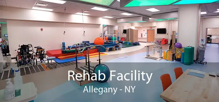 Rehab Facility Allegany - NY