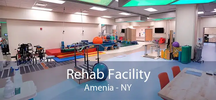 Rehab Facility Amenia - NY