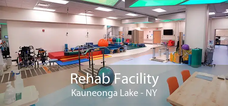 Rehab Facility Kauneonga Lake - NY