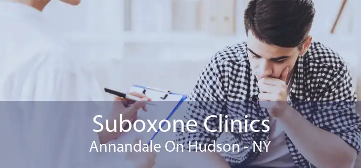 Suboxone Clinics Annandale On Hudson - NY