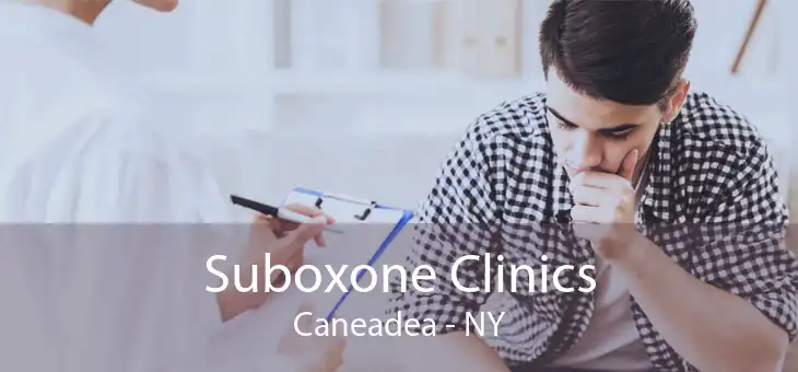 Suboxone Clinics Caneadea - NY