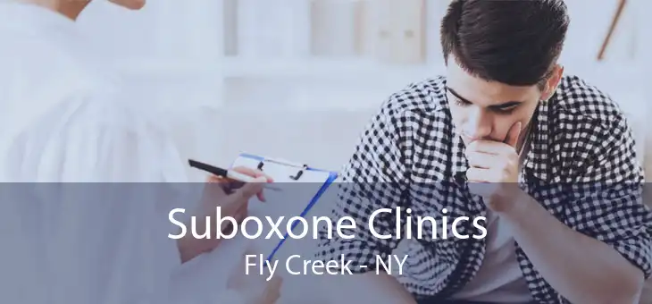 Suboxone Clinics Fly Creek - NY
