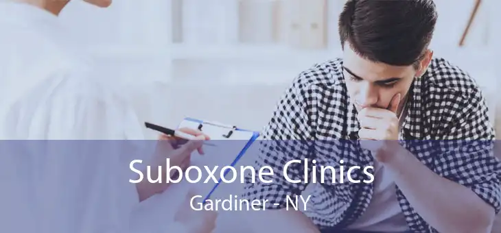 Suboxone Clinics Gardiner - NY