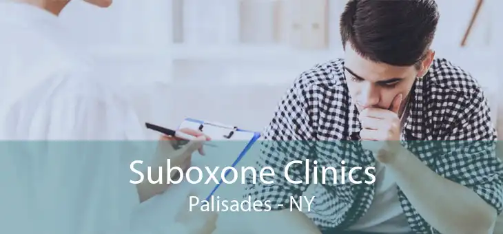 Suboxone Clinics Palisades - NY