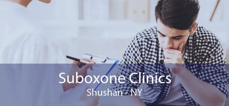 Suboxone Clinics Shushan - NY