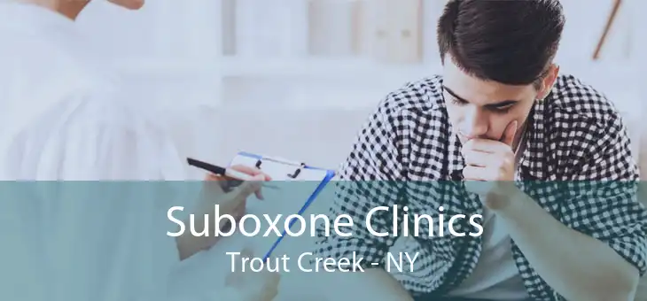Suboxone Clinics Trout Creek - NY